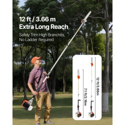 Jatkovarsisaha bensiinikäyttöinen 43 cc 2-tahti 30,48 cm terälaippa 3,66 m jatkovarsi