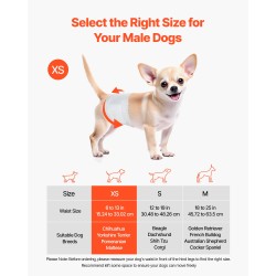 Kertakäyttöiset urospuolisten koirien vaipat pieni koko yhdeksänkymmentäkuusi kappaletta erittäin imukykyinen ydin vuotosuoja