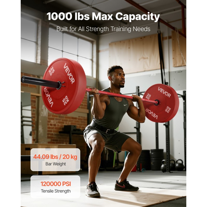 Levytanko 220 cm karkaisukäsitelty teräs 50 mm holkki 453 kg maksimikuorma