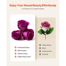 Säilytetyt aidot ruusut 27 kappaletta sydämenmuotoisessa kartonkilaatikossa syvä violetti