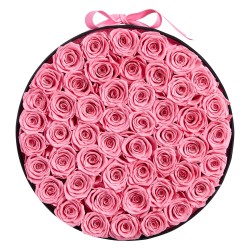 Säilötyt aidot ruusut 50 kpl pyöreässä lahjarasiassa vaaleanpunaisina