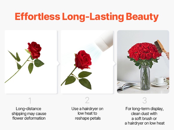 Puhdistaminen pölyn poistamalla