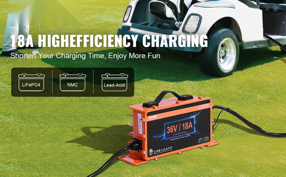 36V golfkärryn akkulaturi