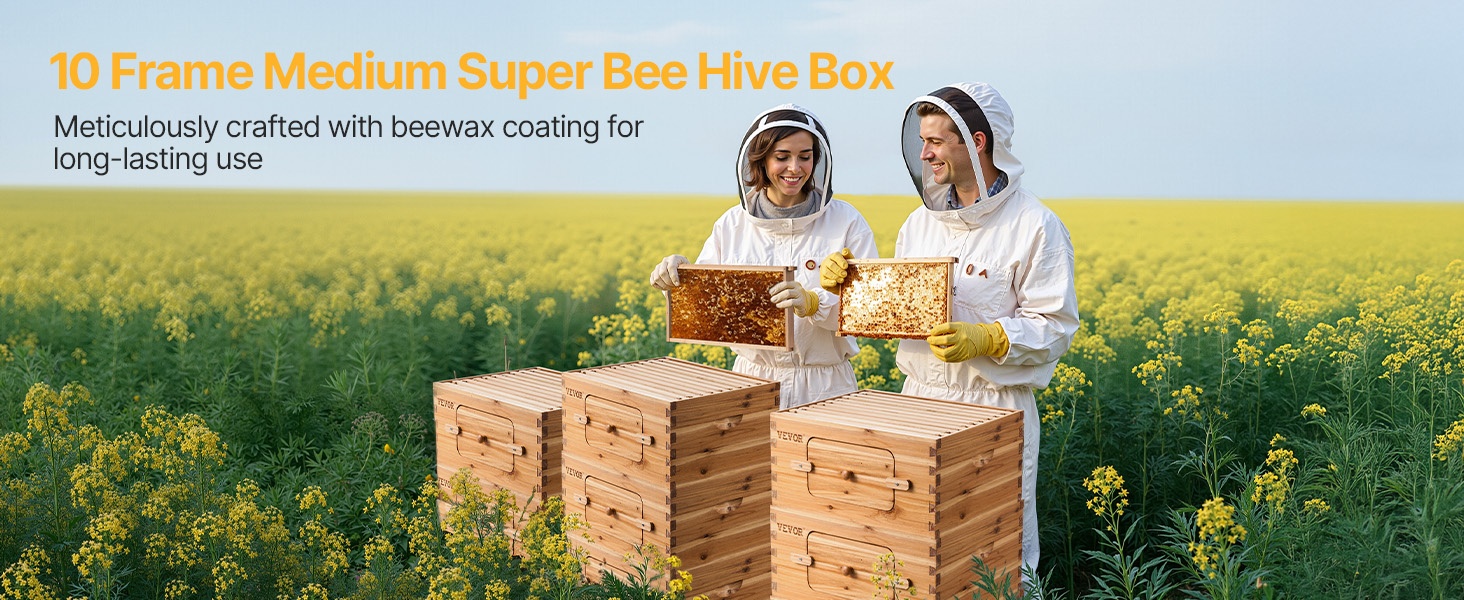 Mehiläispesä seetripuusta