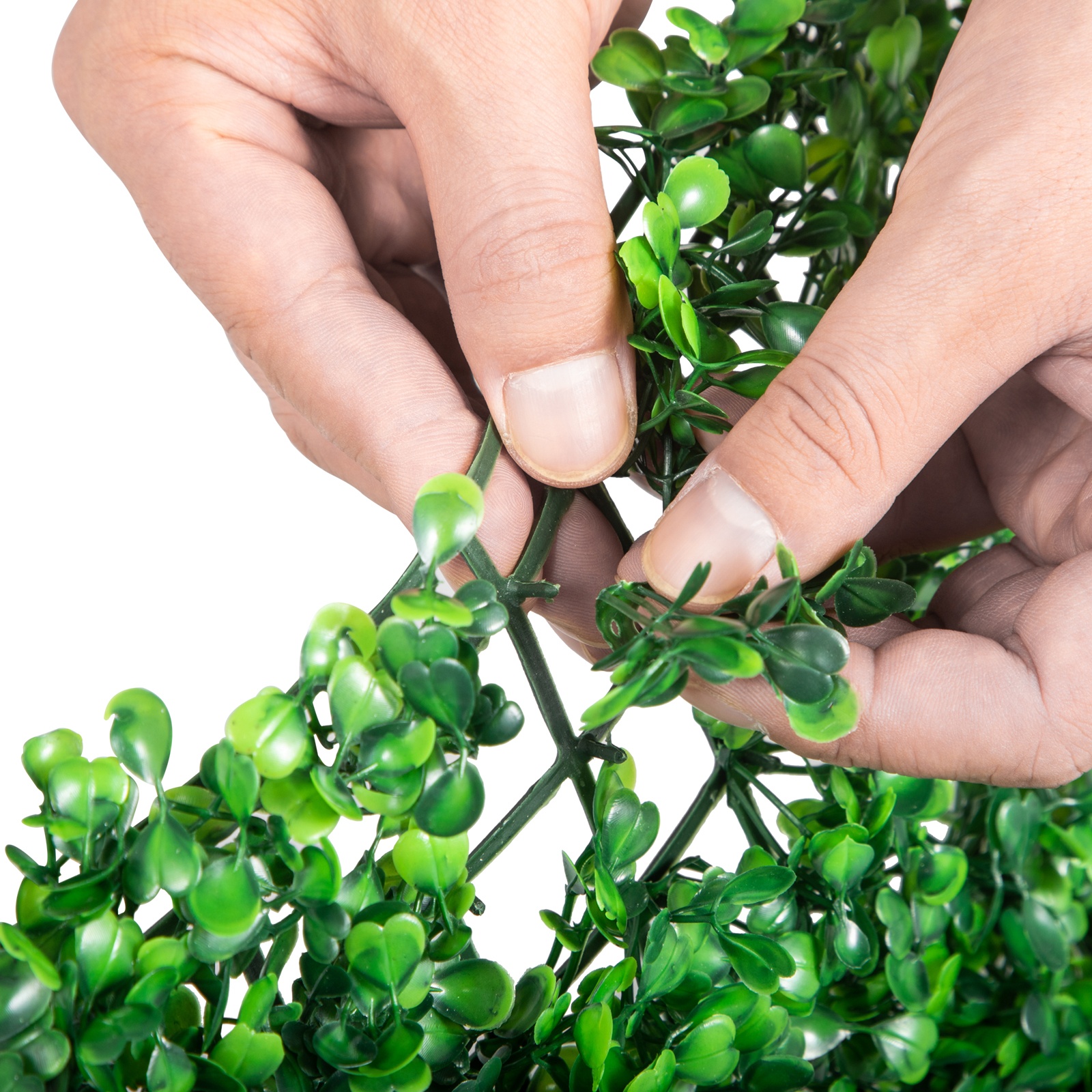 Syntymäpäiväjuhlan tausta