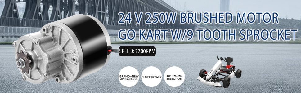 24V 250W harjallinen vaihdemoottori