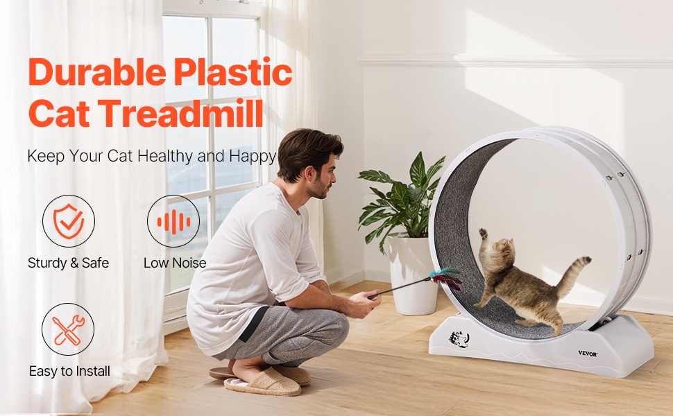 Kissan puinen kuntopyörä, leveä ja tukeva pohja