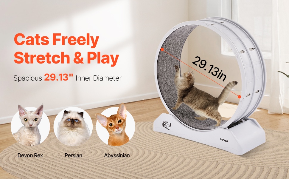 Hiljainen kissan juoksupyörä melua vaimentavilla yksityiskohdilla