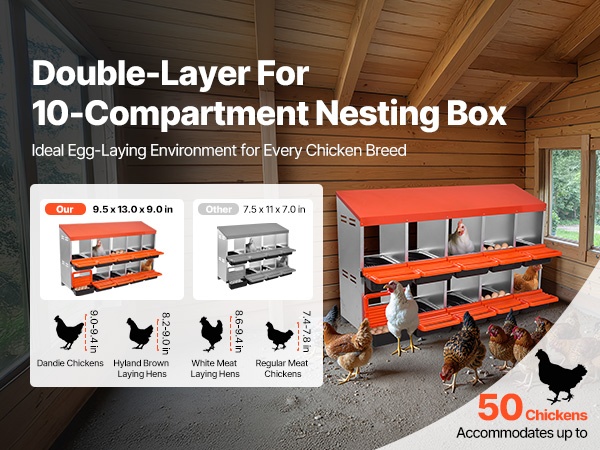 Munintapesän rakenne ja lokerot