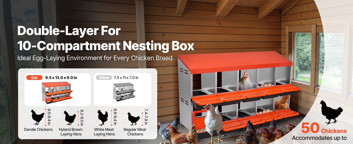 Kaksitasoinen munintapesä siipikarjalle