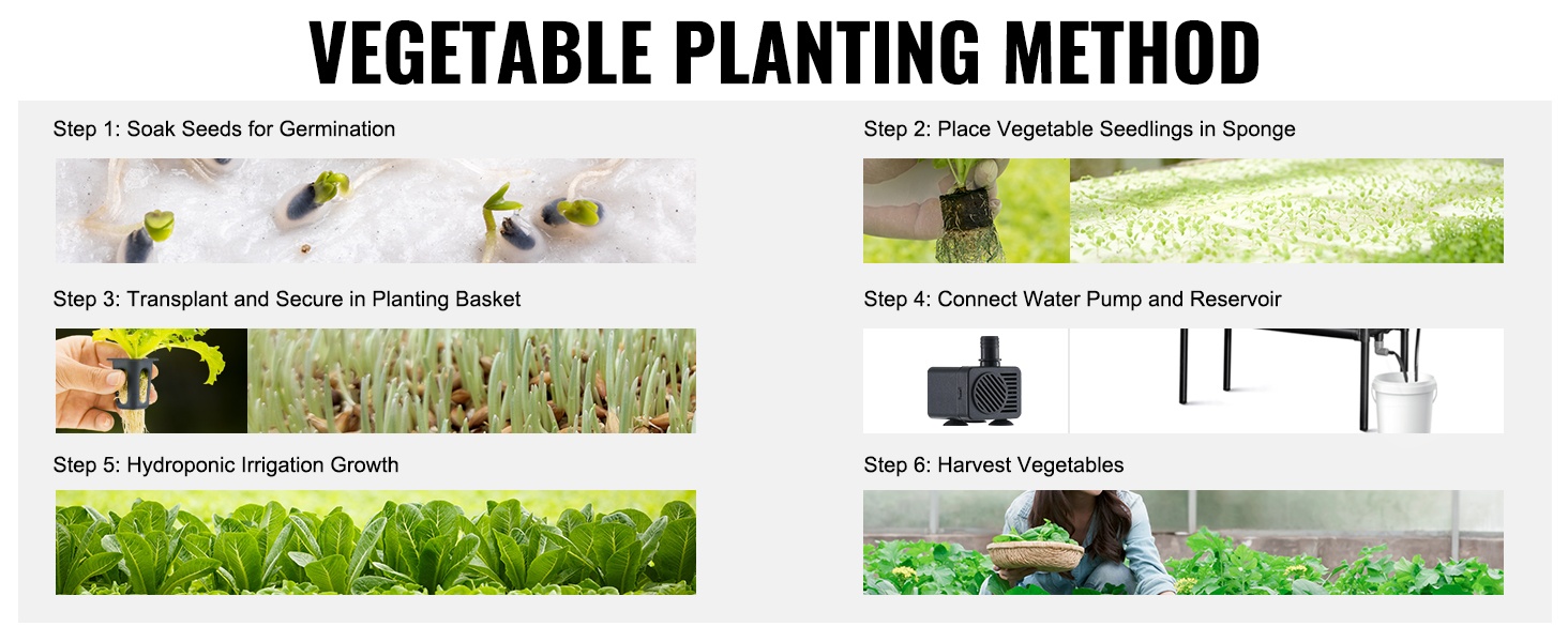 Helppo istutus hydroponiikassa