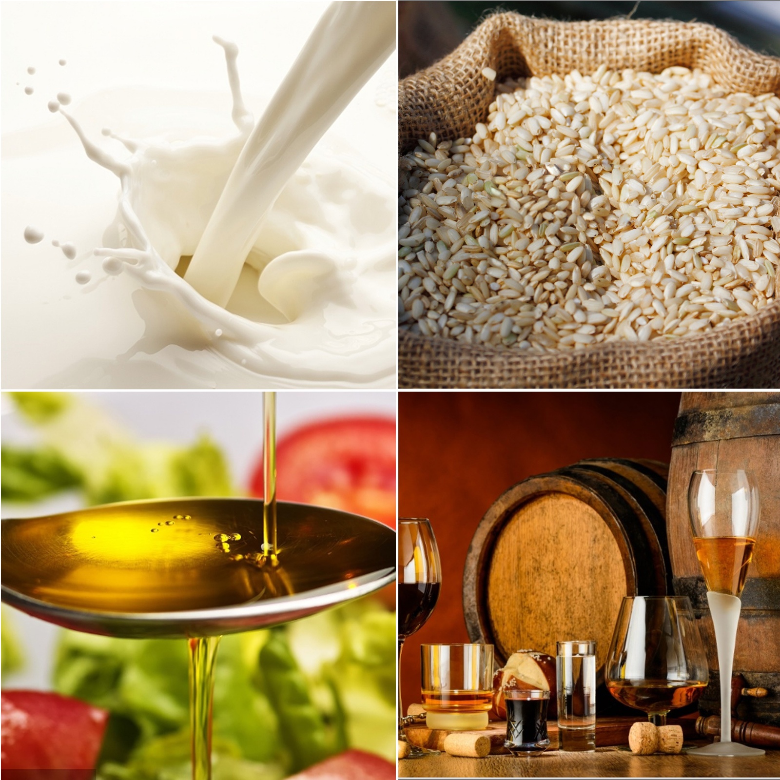 Monikäyttöinen maitotonkka