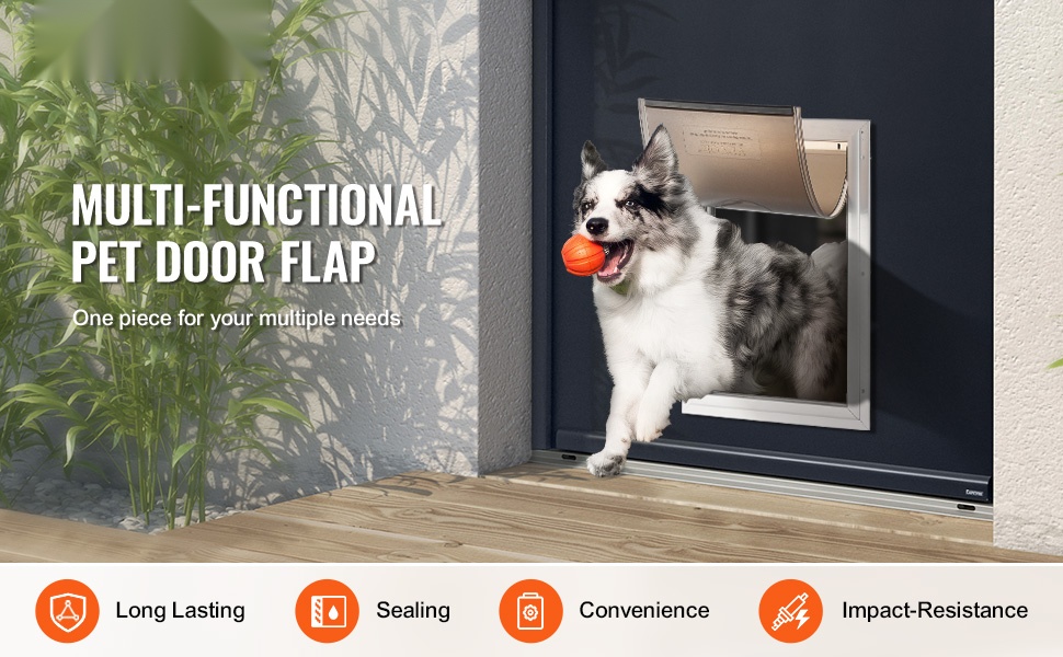 Lemmikkioven varaläppä, yleiskuva