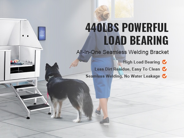 Lemmikkiallas suurille ja pienille koirille