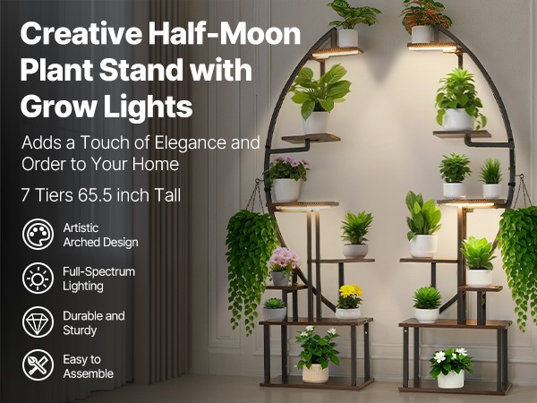 Kasvitelineen kaareva muotoilu