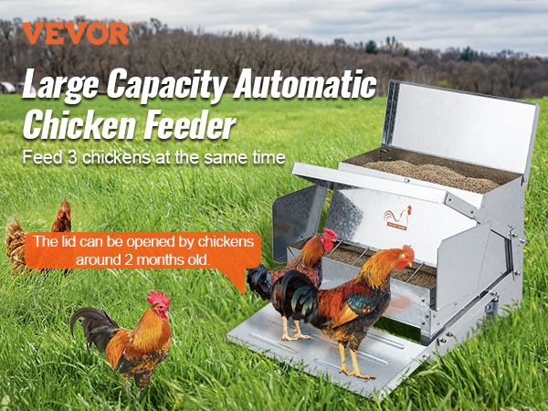 Automaattinen kanaruokinta-astia, mittasuhteet ja rakenne