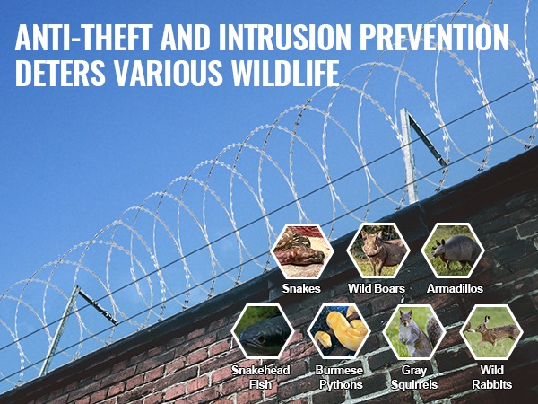 Suojavyöhyke partalangalla