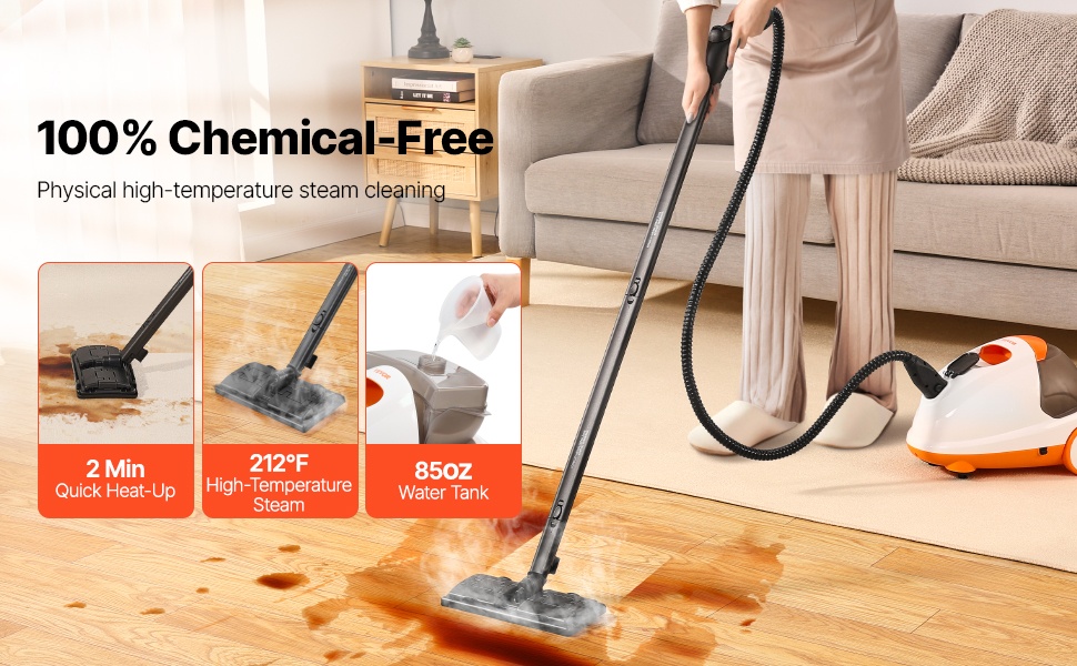 Höyrypuhdistin, yleiskuva